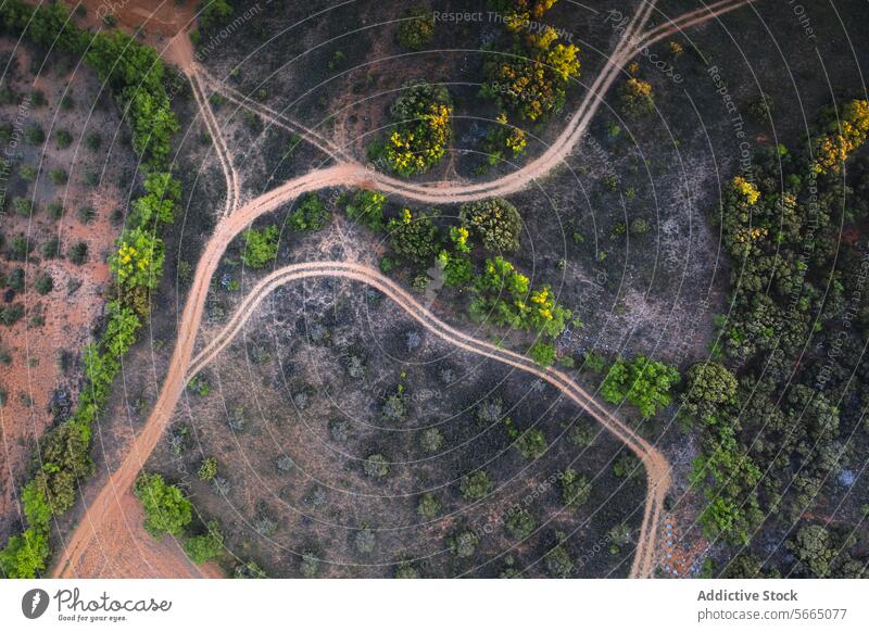 Luftaufnahme von unbefestigten Straßen, die sich in der farbenfrohen Herbstlandschaft der Region Alcarria kreuzen Antenne unbefestigte Straßen Übergang