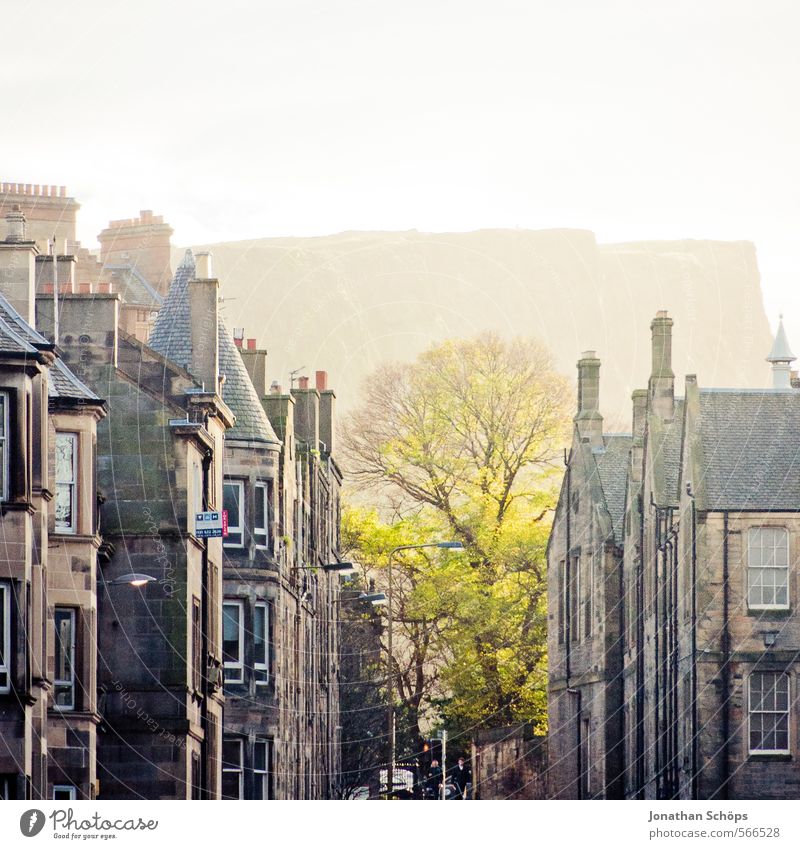 Edinburgh XIII Baum Felsen Berge u. Gebirge Schottland Großbritannien Stadt Hauptstadt bevölkert Haus Fassade Dach Schornstein ästhetisch leuchtend grün
