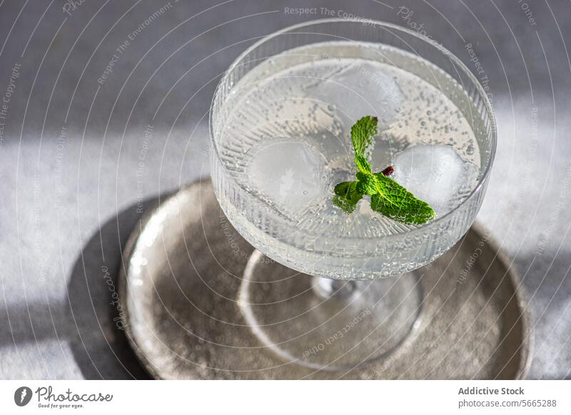 Eleganter Cocktail in einem Vintage-Glas mit Minzgarnitur Wodka, frische Minzblätter, Eiswürfel altehrwürdig Minze Garnierung anspruchsvoll trinken metallisch