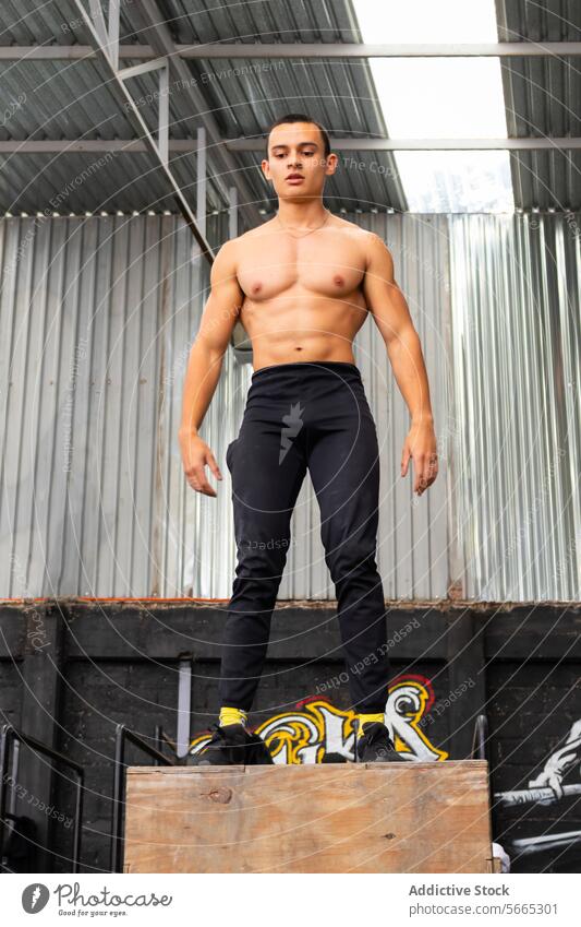 Muskulöser Athlet, der während des Calisthenics-Trainings auf einem Holzkasten steht Sportler stehen calisthenics ohne Hemd muskulös Bodybuilding ernst Mann