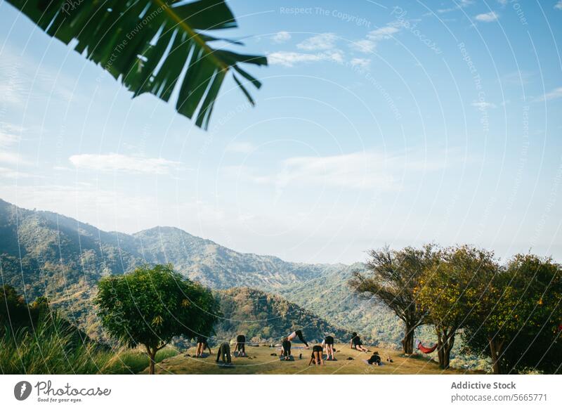 Ruhige Berglandschaft mit picknickenden Besuchern in Minca, Kolumbien Berge u. Gebirge Picknick Gelassenheit Landschaft Klarer Himmel üppig (Wuchs) Grün Baum
