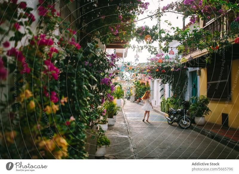 Bunte Straße mit Blumen und einer flanierenden Frau in Cartagena, Kolumbien Gasse pulsierend malerisch Blütezeit Pflanze erhängen Dekoration & Verzierung laufen
