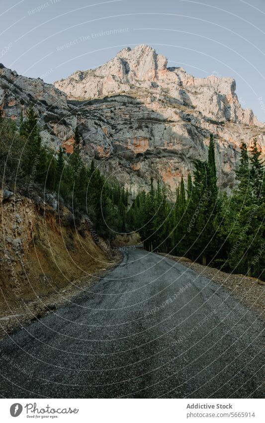 Eine ruhige Schotterstraße, die sich durch ein bewaldetes Gebiet zu einem majestätischen Berggipfel schlängelt Berge u. Gebirge Straße Wald Kies Gipfel