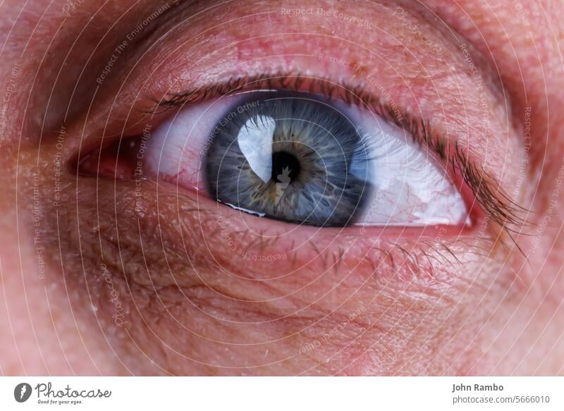graues Auge eines kaukasischen Mannes mit rotem Kapillarnetz Kaukasier männlich Kapillare ineinander greifen Nahaufnahme Makro Ansicht müde Entzündung baggy