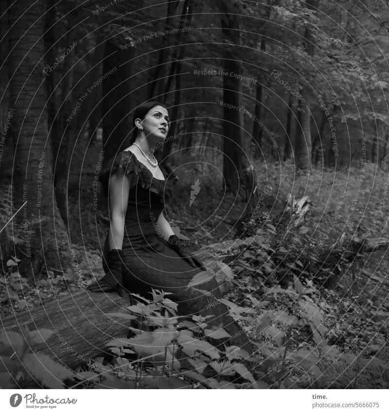 Frau im Wald sitzen Baumstamm kleid Blick nach oben kette dunkelhaarig halbprofil Ganzkörper Handschuhe Lichtung Natur Landschaft Porträt Draussen