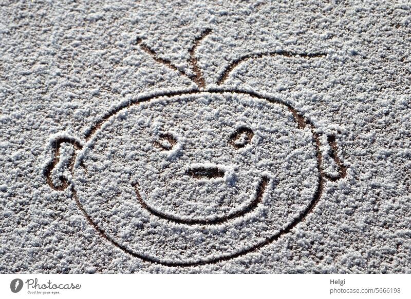 bitte  lächeln ... Schnee Winter Gesicht gemalt Kopf Kreativität kreativ Schneezeichnung Lächeln Freude Außenaufnahme Fröhlichkeit weiß grau lustig kalt