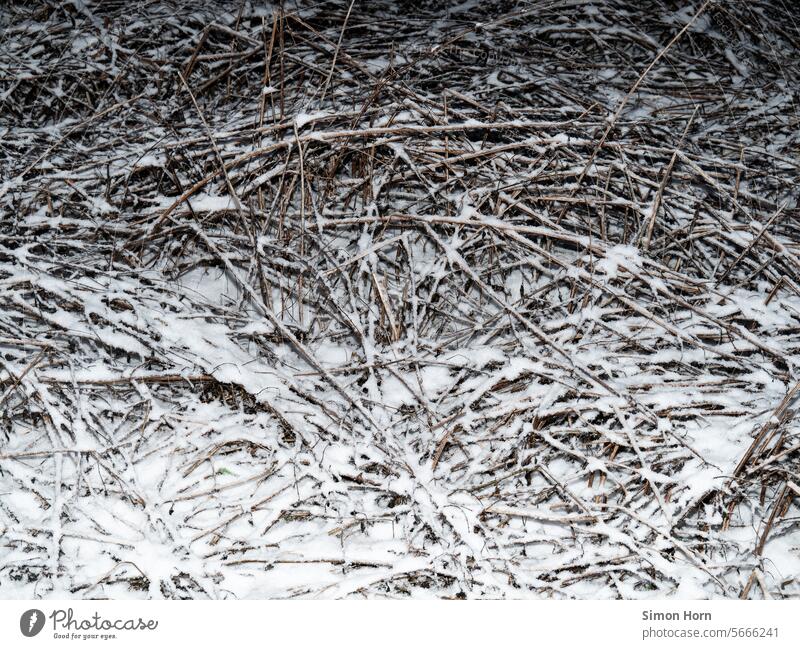 abstrakte Astlandschaft mit Schnee in nächtlicher Dunkelheit Gebüsch dicht Äste Äste und Zweige vereinzelt Schneereste Geäst verzweigt kalt Nacht Muster Winter