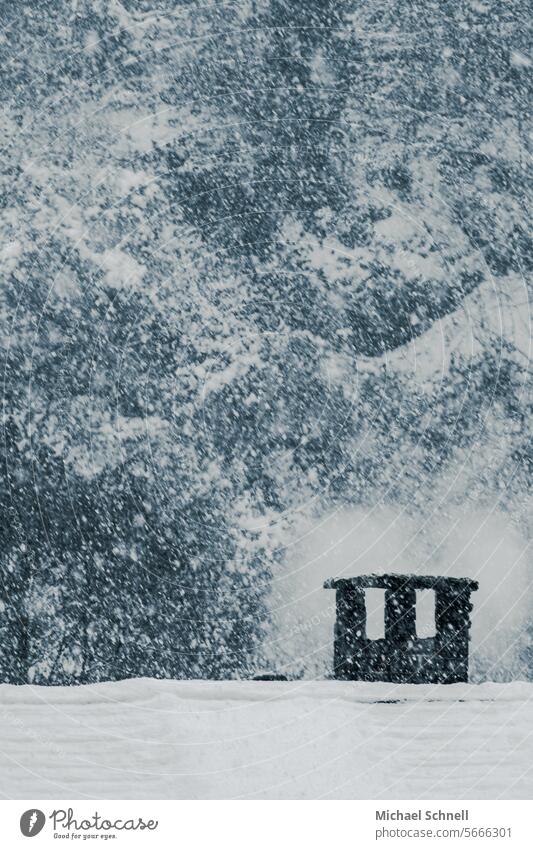Starker Schneefall und ein rauchender Schornstein Schneeflocke Winter kalt Außenaufnahme Farbfoto Winterstimmung Wetter Menschenleer Schneedecke schneebedeckt