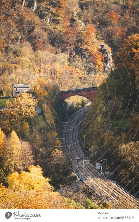 Farbenfroher Herbstwald, durch den die Bahnstrecke führt. Farbenfroher Oktober und November in der belgischen Landschaft. Die Vielfalt einer atemberaubenden Natur