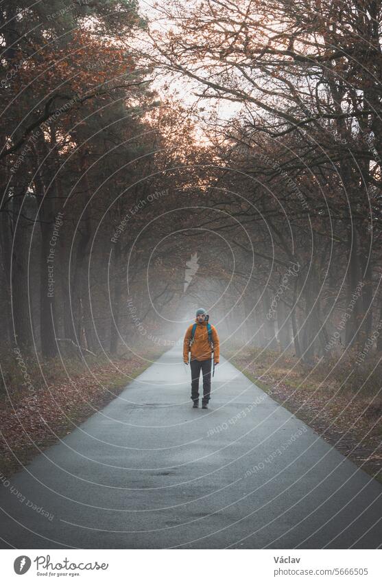 Ein Wanderer geht im Morgennebel entlang einer Straße im Grenspark Kalmthoutse Heide in der Nähe von Antwerpen im Nordwesten Belgiens