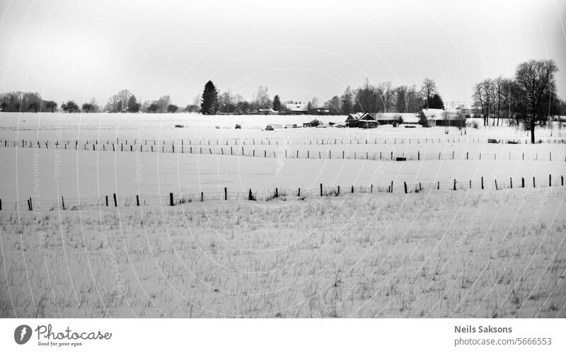 Reihen schwarzer Holzzaunpfähle auf einem schneebedeckten landwirtschaftlichen Feld. Irgendwo in Lettland. Zaun Winter Beitrag Mast Rind Schnee Zaunpfahl kalt