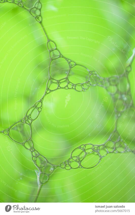 grüne Seifenblasen, grüner abstrakter Hintergrund Schaumblase Blasen grüne Blasen grüner Hintergrund Badeschaum Kugel texturiert Hintergründe Muster