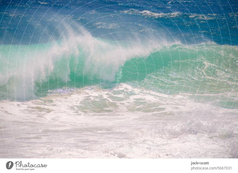 stürmische Wasserwelle Wellenform Wasseroberfläche Wellengang Wellenschlag Meer Südpazifik Wellenbruch Natur Kraft Energie Bewegungsenergie Australien