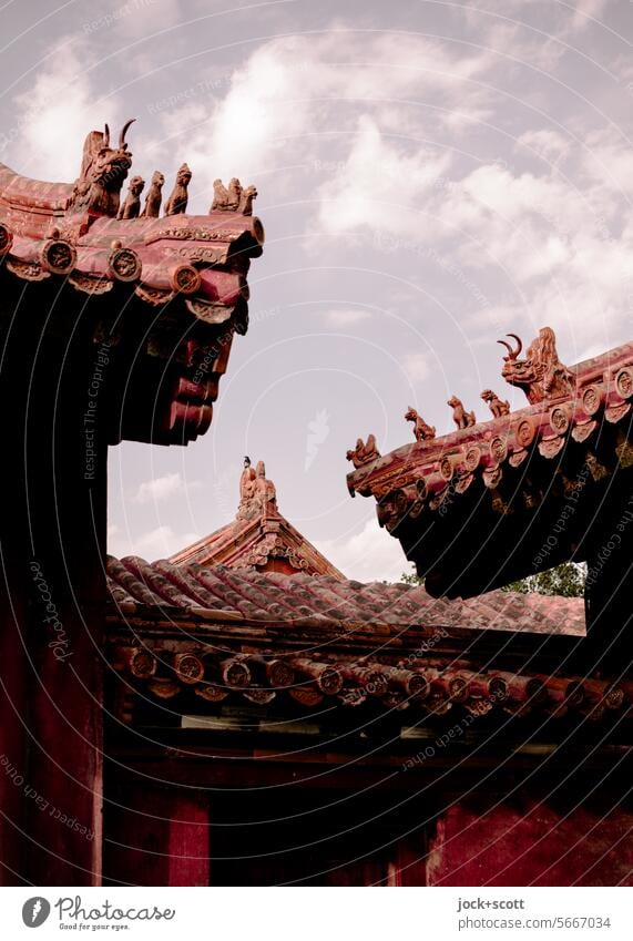 Figuren wachen auf den Dächern Chinesische Architektur Dach historisch Sehenswürdigkeit China Verbotene Stadt Peking Weltkulturerbe authentisch Tiefenschärfe