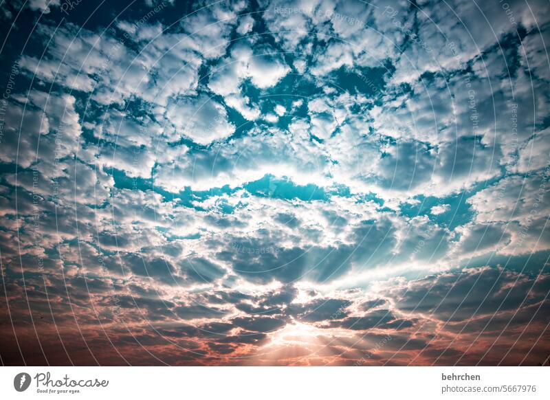 wolkenbruch Sonnenaufgang magisch Sonnenlicht Wolken Abenddämmerung traumhaft Wärme Himmel besonders beeindruckend Farbfoto Fernweh Ferne Namibia Afrika