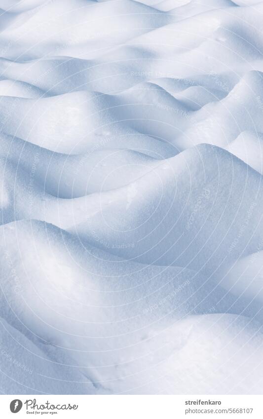 Schneewellen Winter weiß kalt abstrakt wellenförmig Wellen gefroren Eis Wasser Frost frieren Natur Außenaufnahme Strukturen & Formen Nahaufnahme Eiskristall