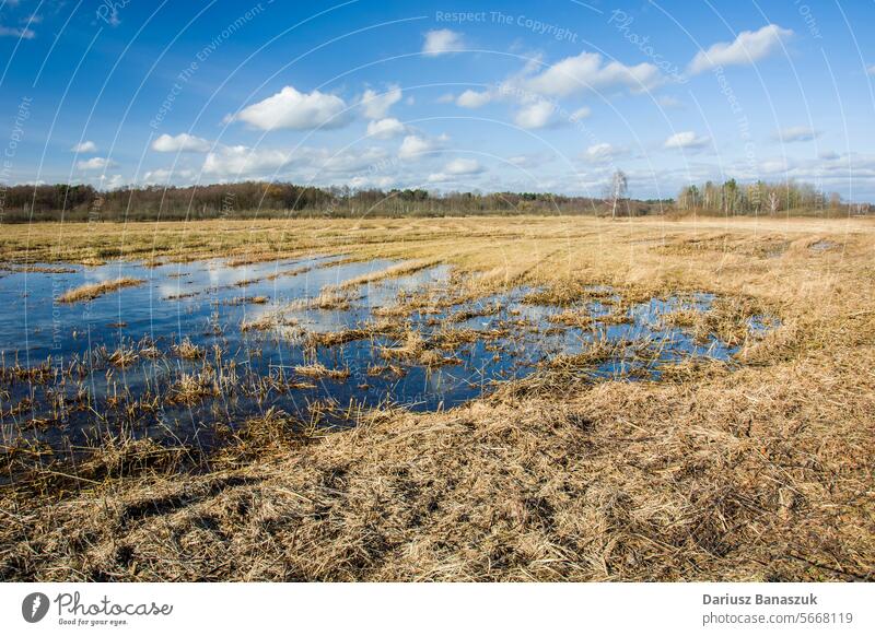 Schmelzwasser auf einer gemähten Wiese Wasser Landschaft Gemäht Tag Natur im Freien Himmel gelb Gras blau Schönheit in der Natur horizontal Fotografie