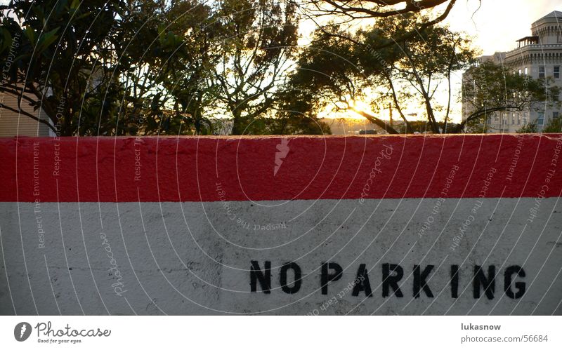 NO PARKING Parkverbot negativ Mauer Putz Spray Schablone Linie Gegenlicht Sonnenuntergang Abenddämmerung San Francisco Kalifornien Baum no parking nein Farbe