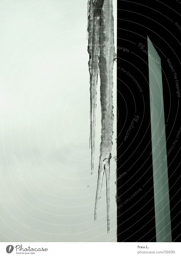 Eiszapfen kalt Balkon Winter grau Fenster Türrahmen gefroren Häusliches Leben Himmel Frost Wasser Rahmen