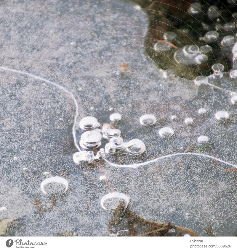 Luftblasen im Eis Natur Winter Frost Tümpel zugefroren Eisschicht dünne Eisschicht Blubberblasen Moder Gas Hohlraum Strukturen & Formen
