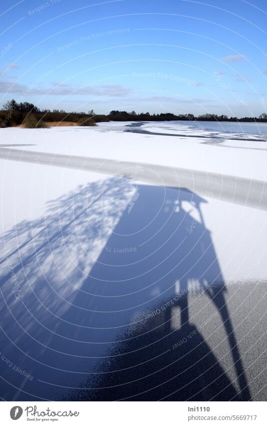 Aussichtsturm auf dem Eis Landschaft schönes Wetter Winter Frost Dümmer See zugefroren Schattenspiel Schattenwurf langer Schatten Turm Baum blauer Himmel