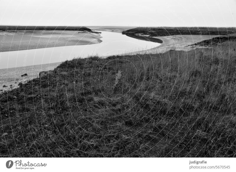 Langwarder Groden Nordsee Meer Wasser Küste Natur Landschaft Marschland Wattenmeer Priel Salzwiese Umwelt Vogelschutzgebiet Nordseeküste Gezeiten Ruhe Gras