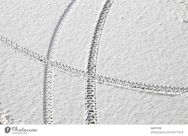Fahrradspuren auf dem Eis Winter See zugefroren dünne Schneedecke Reifenspuren Muster Abdruck Struktur Spaß Winterfreude Wagnis
