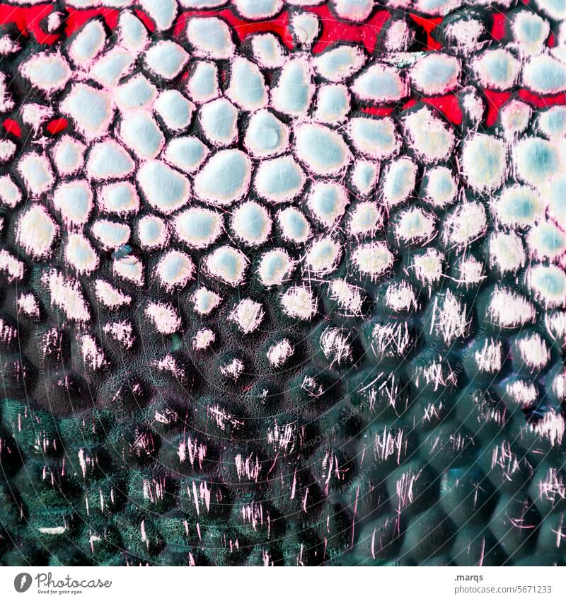 Noppen rot weiß türkis Strukturen & Formen Muster abstrakt Detailaufnahme Hintergrundbild Farbe viele Kunststoff