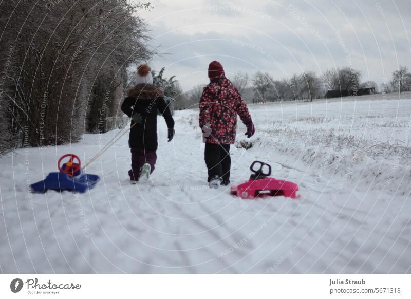 Schlittenfahren mit Freunden schlittenfahren ziehen Winter Schnee Kinder Spaß haben Bewegung Bobfahrer Winterlandschaft Rodeln Natur weiß kalt Winterkleidung