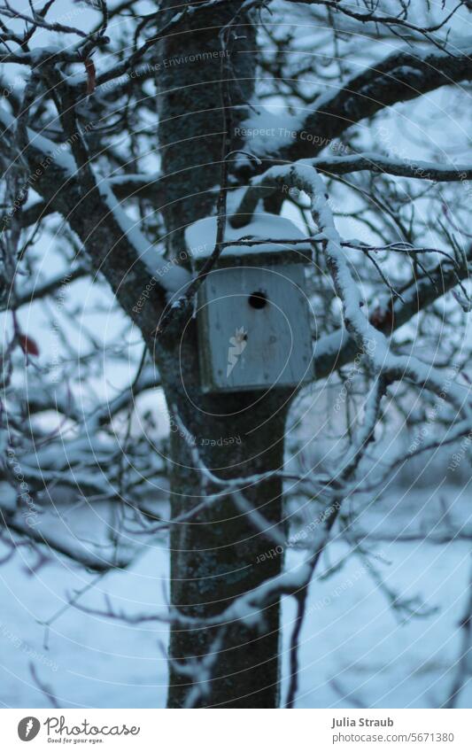 Vogelhäuschen mit Eiszapfen blaue Stunde Vogelhaus Winter Schnee Bäume draußen Holz