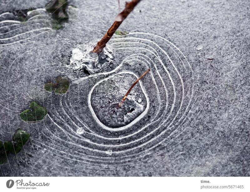 Frostlaunen Natur Umwelt Ast gefroren Wasser Tümpel Ringe Laune der Natur Muster Struktur Eis Stein Pflanze Eiskristalle temporär Aggregatzustand frieren kalt