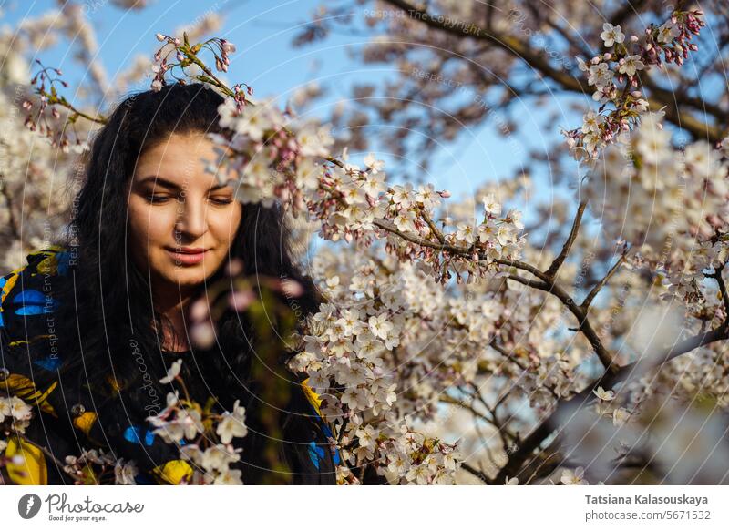 Attraktive junge Frau genießt den Frühling zwischen blühenden Bäumen im Kirschgarten Hintergrund Überstrahlung Kirsche Großstadt urban Blüte Baum im Freien