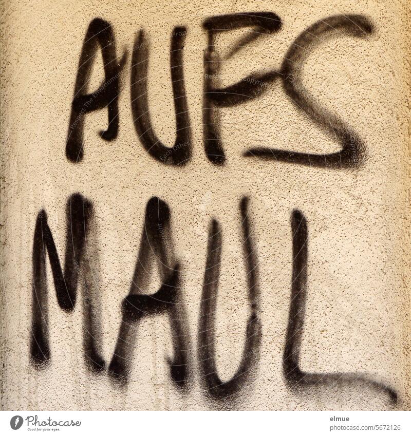 voll dämlich I AUFS MAUL steht in schwarz an der Wand aufs Maul Androhung Graffiti Kampfansage sprayen Gewalt in Stücke reißen Gewaltandrohung nicht zu halten