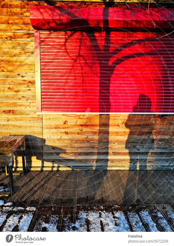 Die Abendsonne wirft lange Schatten eines Baums, einer Person und einer Bank gegen den geschlossenen roten Rollladen eines Kiosk. Licht & Schatten