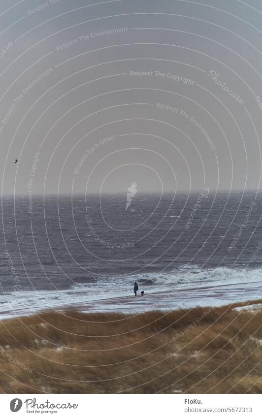 Spaziergang an stürmischer Nordsee Mann gehen spazieren Meer Nordseeküste Wellen Sturm Winter Schnee Eis kalt Kälte Natur Landschaft draußen Strand Küste Wasser