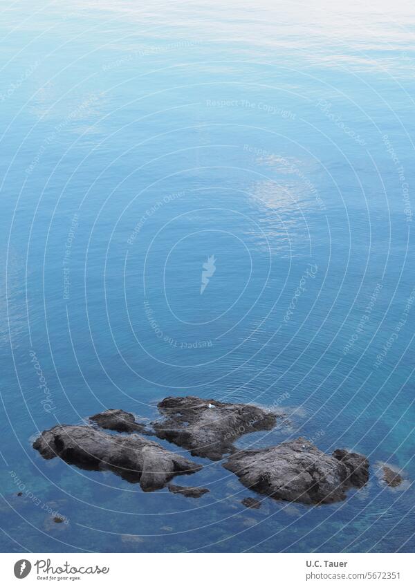 Ruhepole im Wasser Stein Windstille blau Meer ruhig Felsen klares Wasser