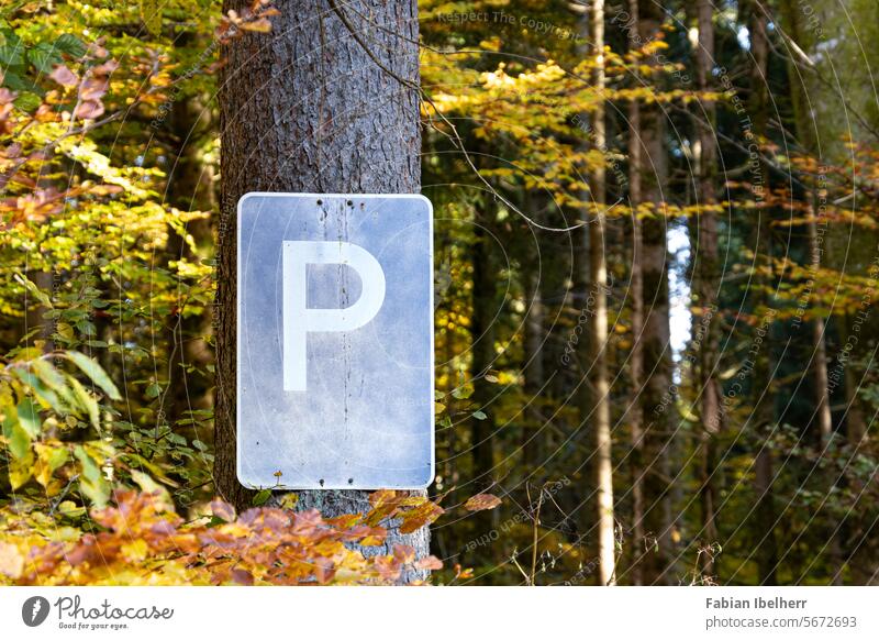 Verkehrszeichen kennzeichnet Parkplatz in einem Wald Schild Wanderparkplatz Verkehrsschild Deutschland