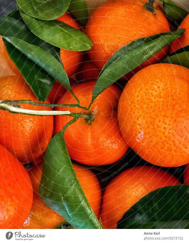 Clementinen mit Stiel und Blättern Obst Lebensmittel Frucht frisch Vitamin orange fruchtig Vitamin C Foodfotografie Ernährung