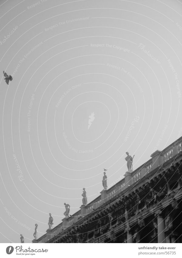 2 Vögel Vogel Venedig Statue klassisch Himmel Schwarzweißfoto fliegen