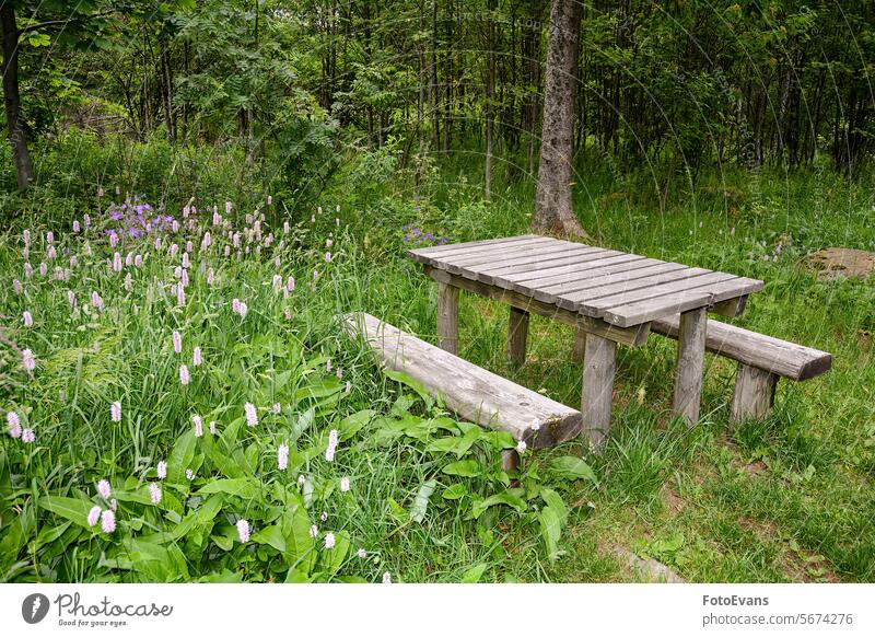 Parkbank und Tisch in grüner Natur Holz Textfreiraum Blumen Hintergrund Sommer Holzbank Blumenwiese ruhen Pause Holztisch Picknick-Tisch im Freien Wiese