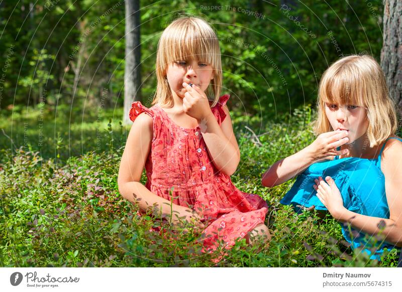 Kinder pflücken Beeren in einem Sommerwald Heidelbeere Blaubeeren Rauschbeere Kaukasier heiter Kindheit Ernte Tag lecker Kleid essen Essen Genuss Lebensmittel