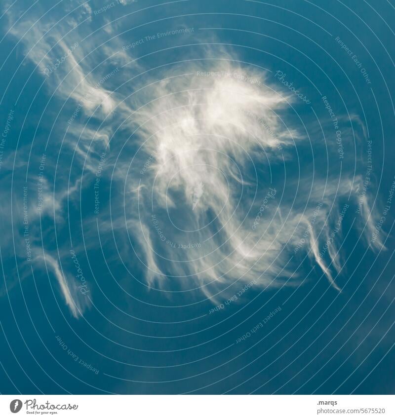 Alien Luft Cirruswolke bizarre Wolken Wolkenformation Zirruswolken Klima Klimawandel Umwelt Urelemente Wetter Stimmung Natur Wolkenhimmel Schönes Wetter blau