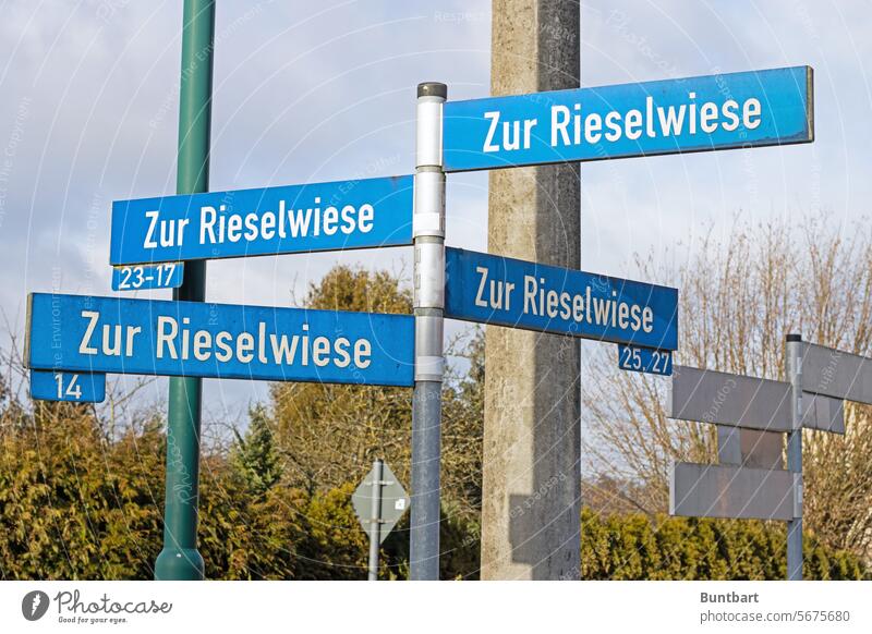 Die Richtung stimmt Straßenschilder blau weiß Rieselwiese Hecke blauweiß Schilder & Markierungen Verkehrsschild Hinweisschild Zeichen Verkehrszeichen