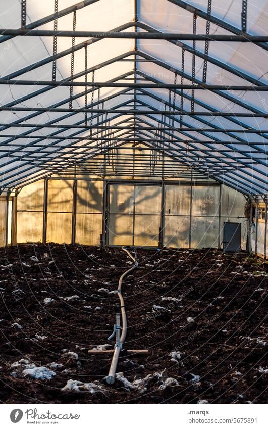 Gewächshaus Botanik Glas Schatten Sonnenlicht Baum Gartenarbeit Wachstum Natur natürlich Bioprodukte Gerüst Tunnel Nutzpflanze Gärtnerei Perspektive Kunststoff