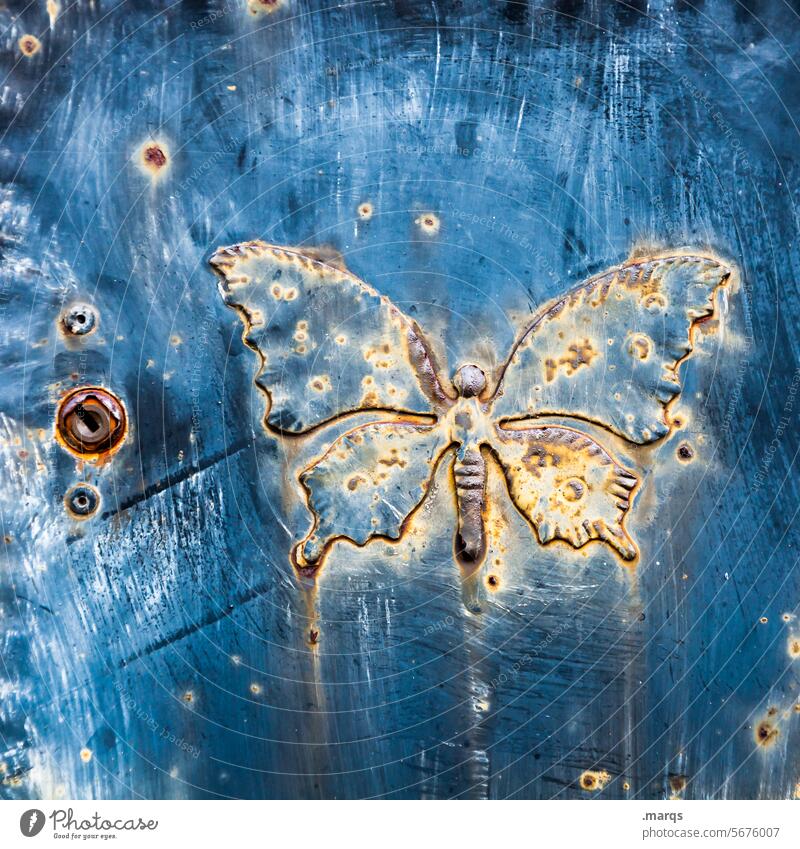 Schmetterling (4700) Metall Nahaufnahme blau alt Rost Schloss Märchen geheimnisvoll mystisch verschlossen Kindheit zauberhaft