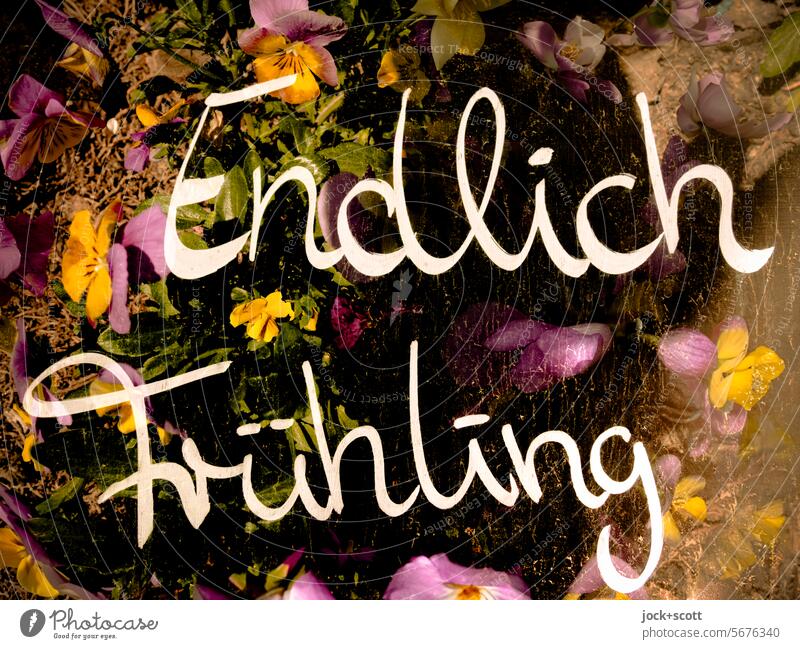 Endlich Frühling Wort Deutsch Blume Typographie Doppelbelichtung Stil Reaktionen u. Effekte Sinnestäuschung Boden blumig sprießen erreicht Ungeduld gute Zeit