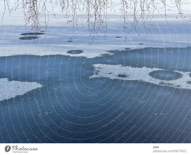 Gefrorener See mit Weidenästen Schnee Winter kalt kalte jahreszeit kalte Temperatur eisige Kälte mutig Lebensfreude Lebenslust Freiheit winterlich Außenaufnahme