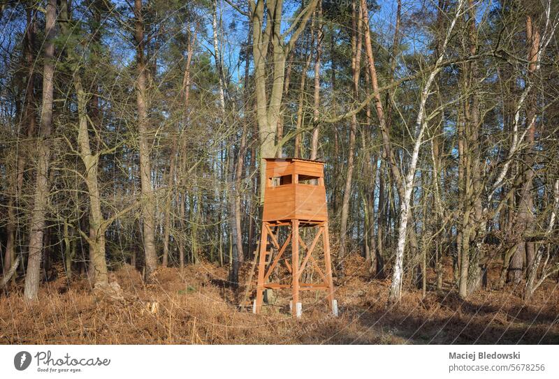 Foto eines Rotwildjagdturms am Waldrand. Jagdturm Hochsitz Hirsche blind Natur Turm im Freien Baum Landschaft Wiese hölzern Tierhaut Saison Ansicht stehen
