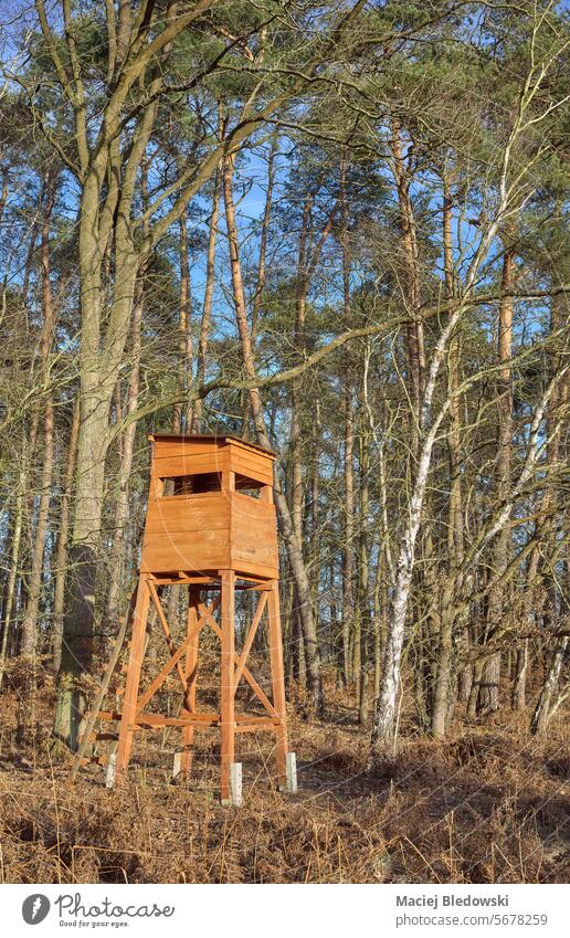 Foto eines Rotwildjagdturms am Waldrand. Jagdturm Hochsitz Hirsche blind Natur Turm im Freien Baum hölzern Tierhaut Saison Ansicht Landschaft stehen Umwelt