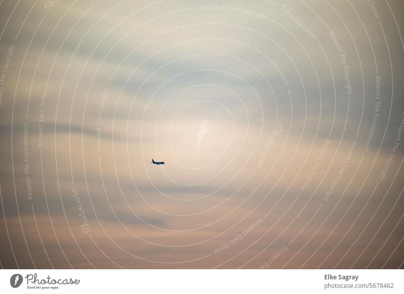 Flugzeug am bewölktem  Himmel Richtung Osten Wolken über den Wolken Luftverkehr Tragfläche Ferien & Urlaub & Reisen fliegen blau Flugzeugausblick